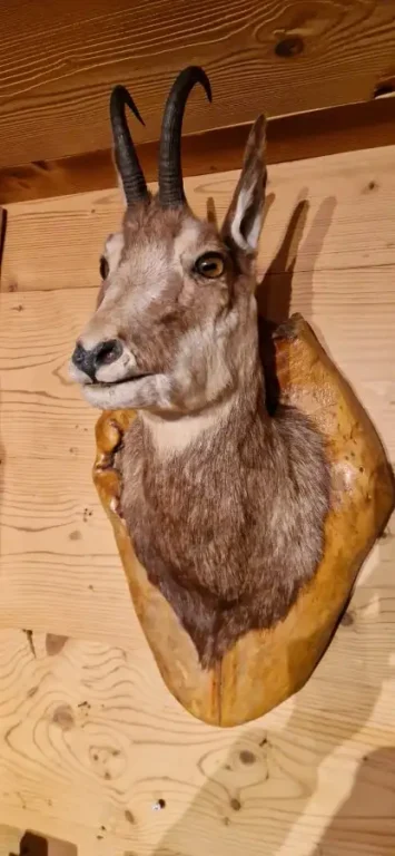 Cabinet d’apothicaire